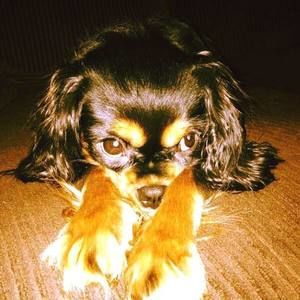 Meet your Posher, Kari